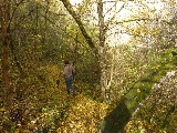 vile in Romania, turism, vacanta