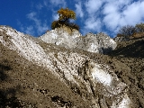 rezervatia naturala Dealul Sarii