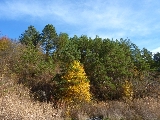 Rezervatia Naturala, sejur in Transilvania