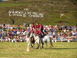 programok, ajánlat, lovas ünnep