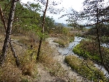 programe in natura, Praid