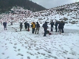 muntii harghita, pescuit, programe