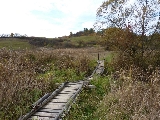 vacanta, programe, natura
