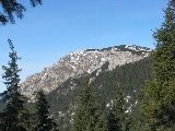 subalpina, trasee montane