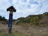 copii, trasee, drumetii