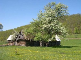casa taraneasca, sejur, transilvania