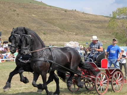 Székelyföldi Lovas Ünnep!
