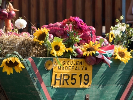 Madéfalvi Nemzetközi Hagymafesztivál!