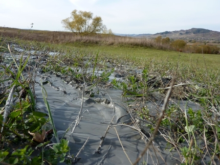 Fiatfalvi iszapvulkánok