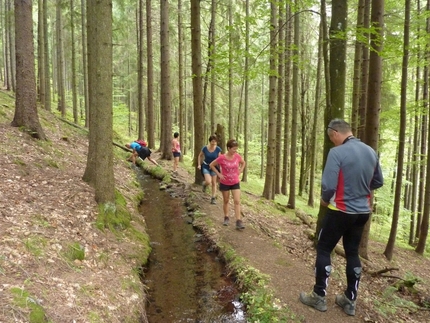 A Visszafelé folyó Ivó-patak! 