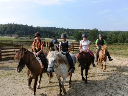 Ivói Izlandi lovak lovarda!